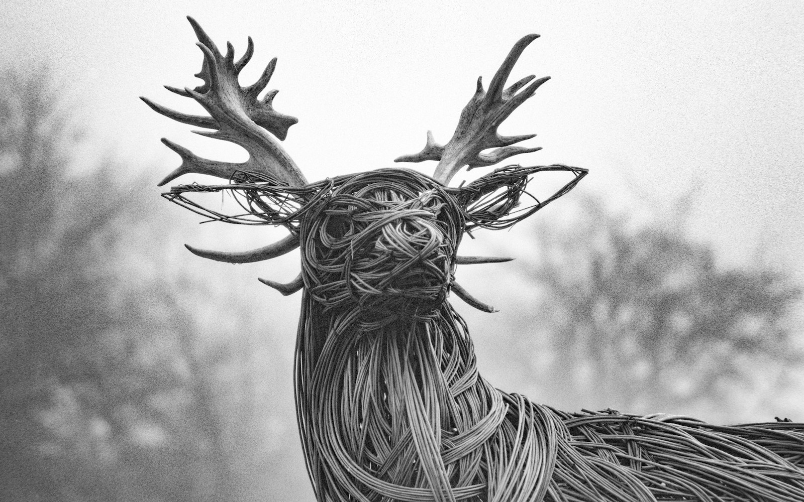 A small animal sculpture in progress, showing wire armature and wool layers on a worktable.